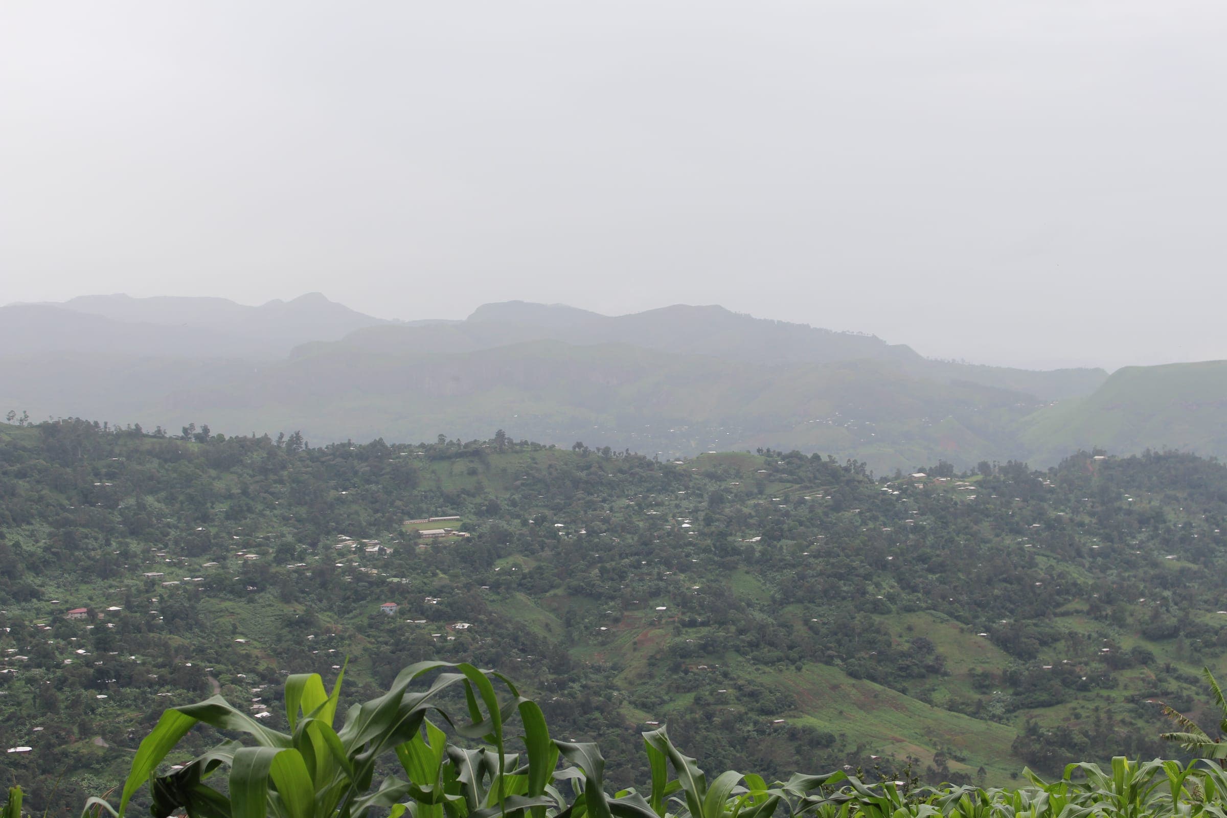 Green, misty hills in the Boyo area of Bamenda, Cameroon, looking down towards Njinikom.