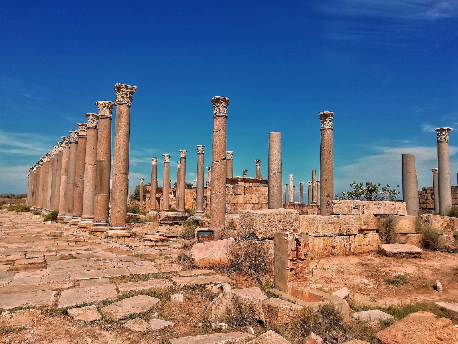 Rows of standing stone columns among Roman ruins near the coast.